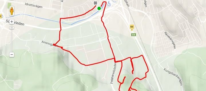 Peppared Trail Run