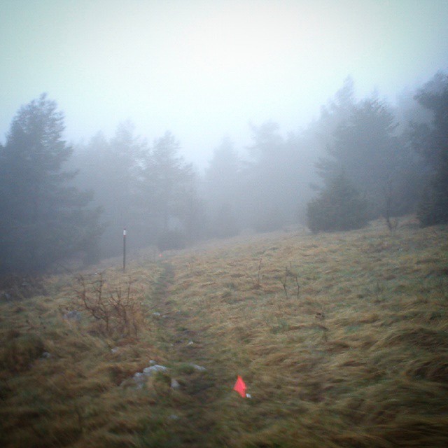The morning mist in Istria