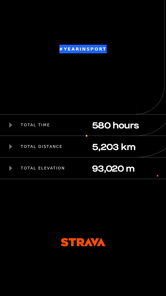 Strava stats in 2019