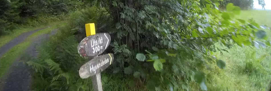 Hyssnaloppet