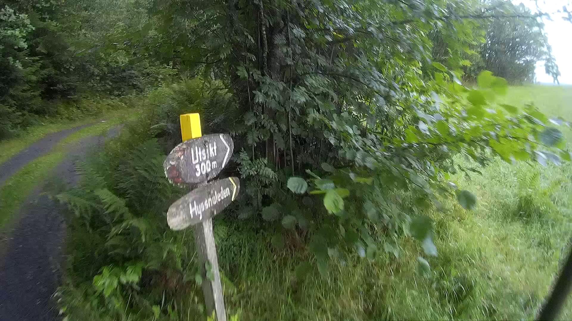 Hyssnaloppet