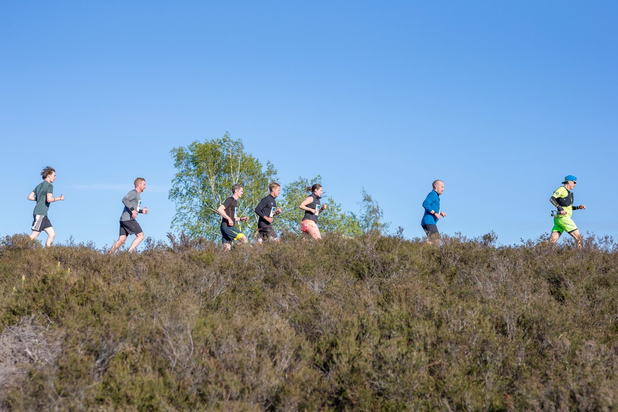 Trailvarvet 2019