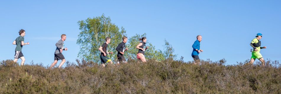 Trailvarvet 2019